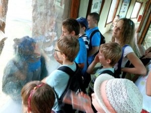 Denný anglický tábor - v zoo